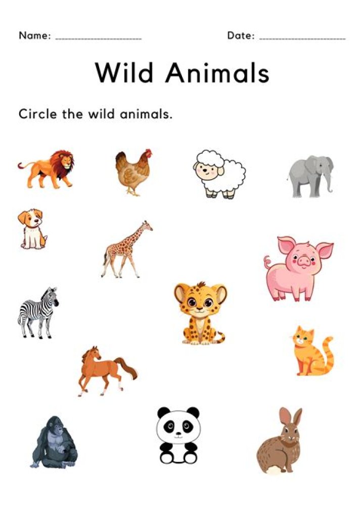 Free Animals Worksheets for Kindergarten PDF Download