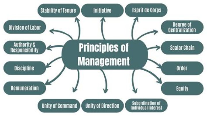 Anna Karenina’s Principle of Management PDF Guide: Leadership Insights from Classic Literature