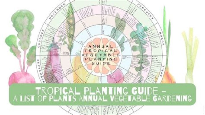 Annual Plants List PDF: Full Guide & Plant Examples
