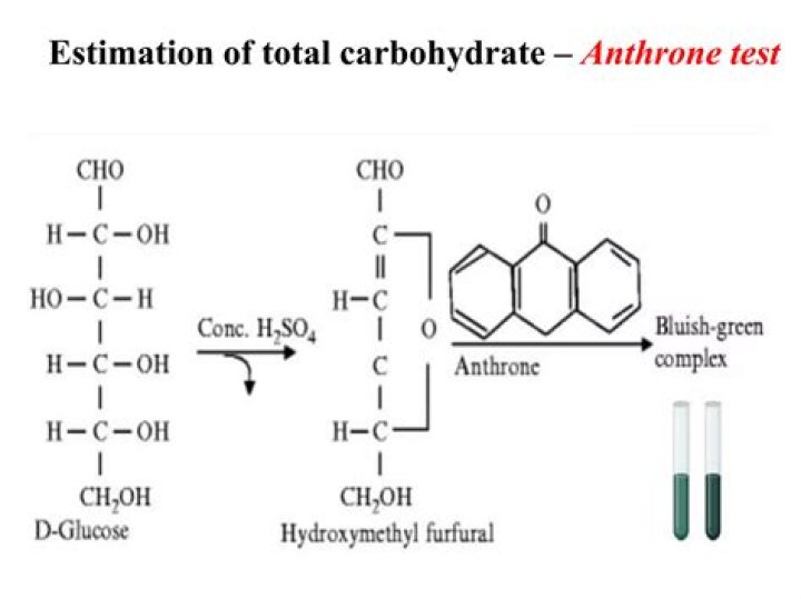 Anthrone Test for Carbohydrates PDF: Accurate Lab Results Guide