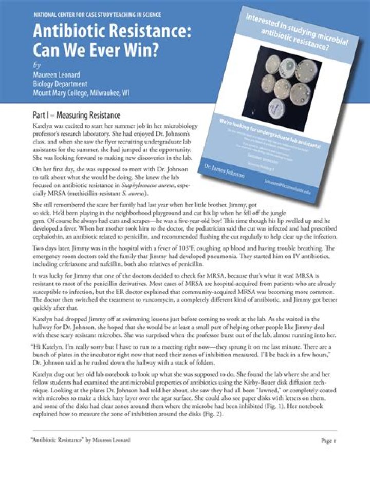 Can We Ever Win Against Antibiotic Resistance? Key Answers in PDF