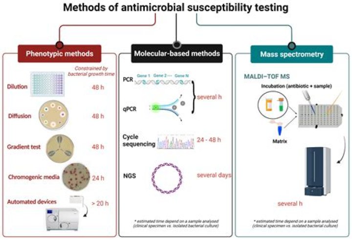 Antibiotic Susceptibility Test PDF: Essential Guide for Accurate Diagnosis