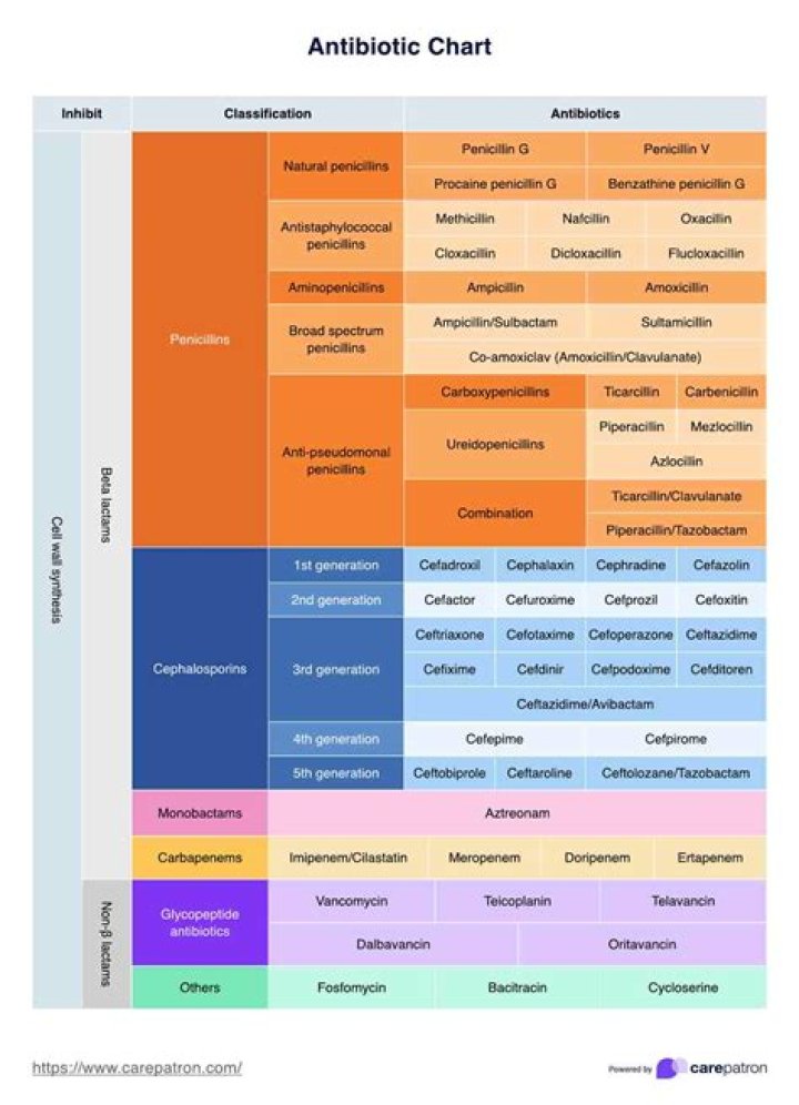 Antibiotics Veterinary Medicine PDF: Essential Drug List & Guidelines