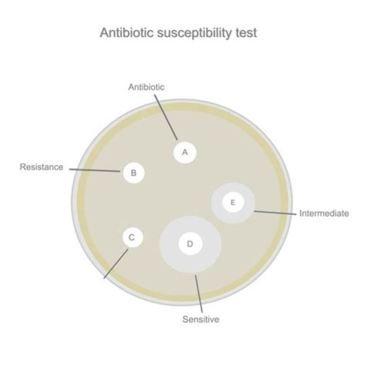 Antibiotics Susceptibility Test PDF: Accurate Results for Effective Treatment