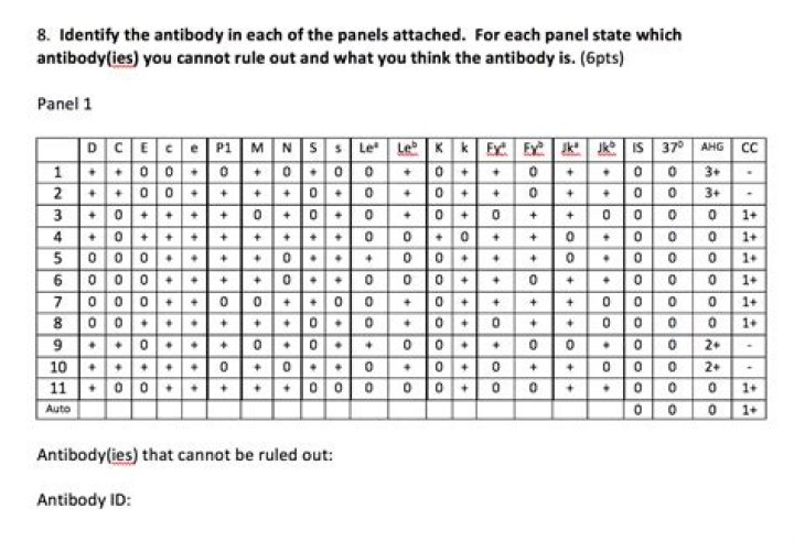 Antibody Panel Practice Guide with Answers PDF: Learn & Master