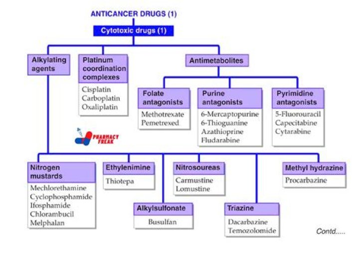 Anticancer Drug List PDF: Comprehensive Guide to Top Treatments