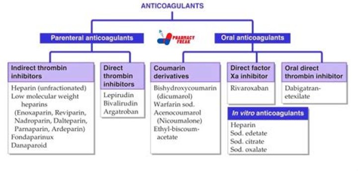 2019 Anticoagulant Drugs List PDF: Essential Guide