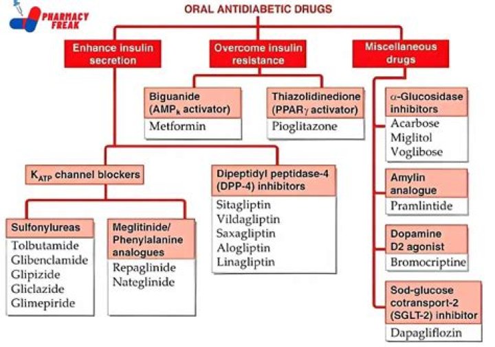 Complete Antidiabetic Drugs List PDF: Essential Information for Patients and Healthcare Providers