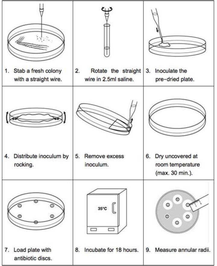 Antimicrobial Susceptibility Testing Methods PDF: Essential Guidelines & Protocols