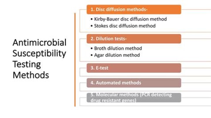Antimicrobial Testing Methods PDF: Comprehensive Guide