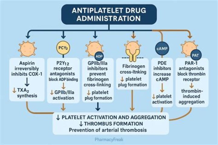 Comprehensive Antiplatelet Drug List PDF – Essential Reference for Patients & Providers