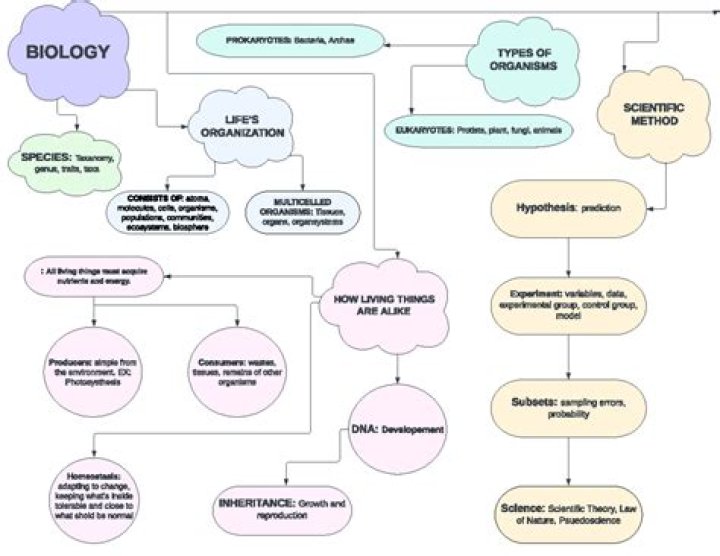 AP Bio Campbell Chapter 2 & 3 Test PDF for Exam Success