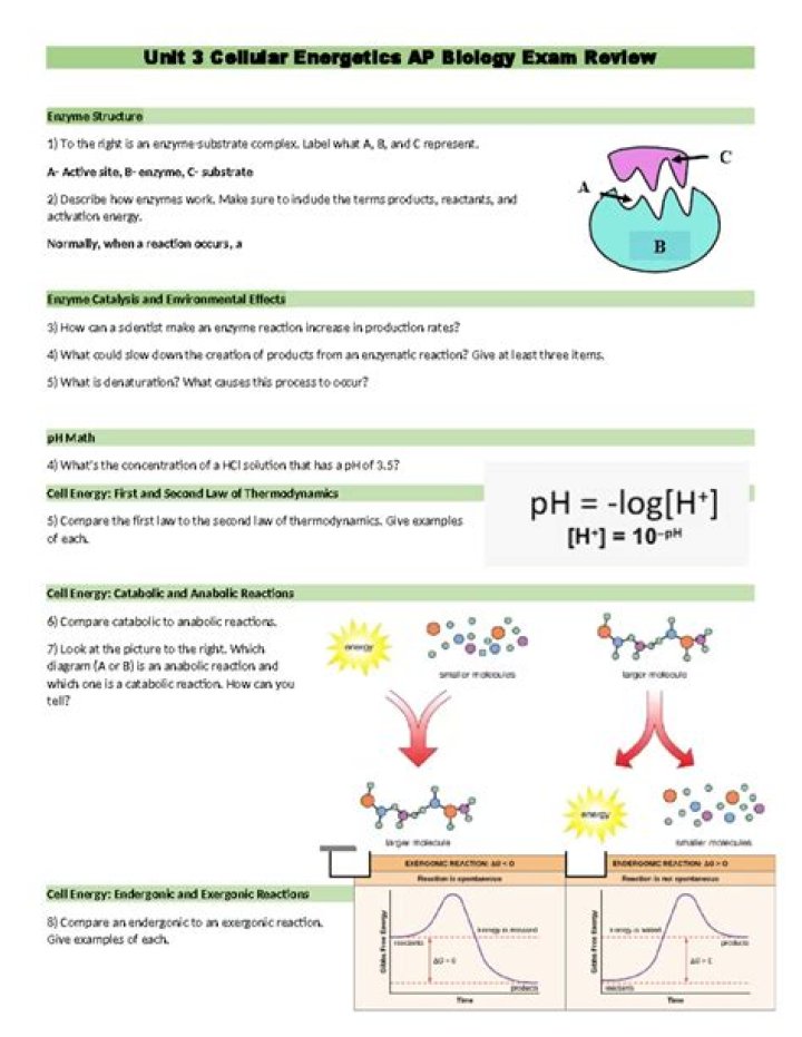 AP Biology Cellular Energetics Unit Test PDF – Practice & Review