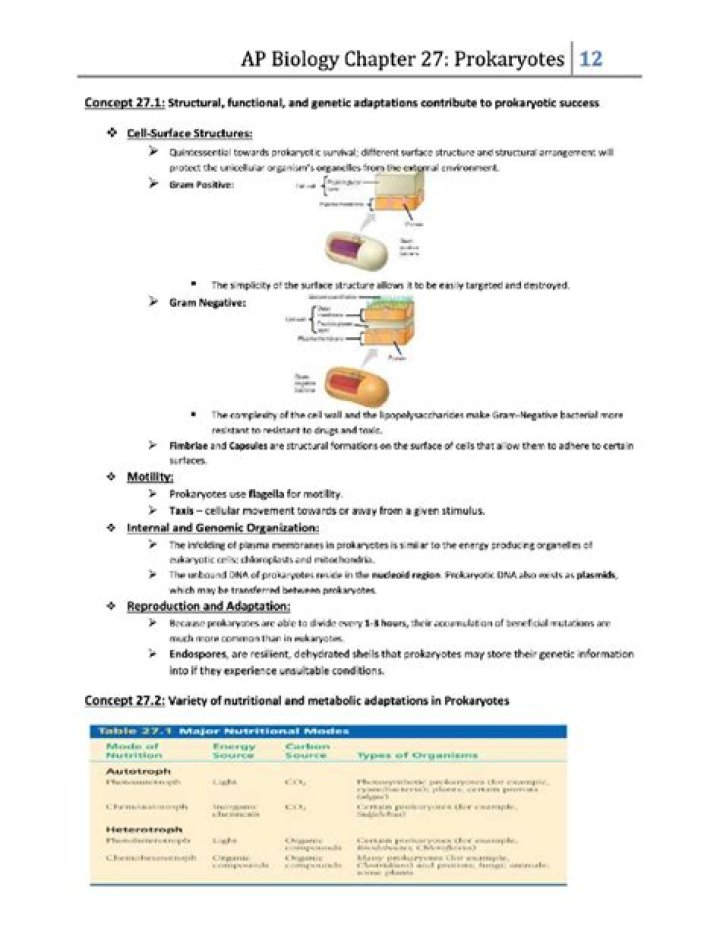 AP Biology Chapter 27 Reading Guide Answers PDF – Complete Study Notes