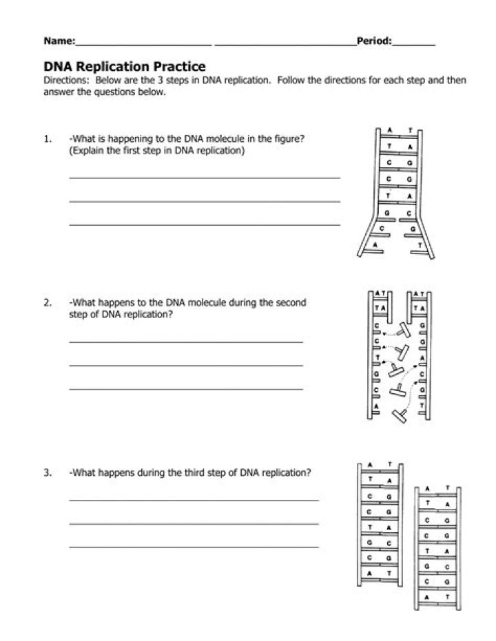AP Biology DNA Replication Test PDF – Free Study Resource