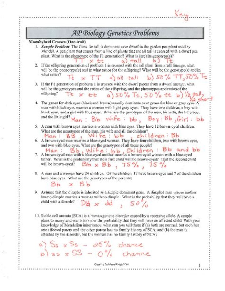 AP Biology Genetics Practice Problems Answers PDF – Instant Study Guide