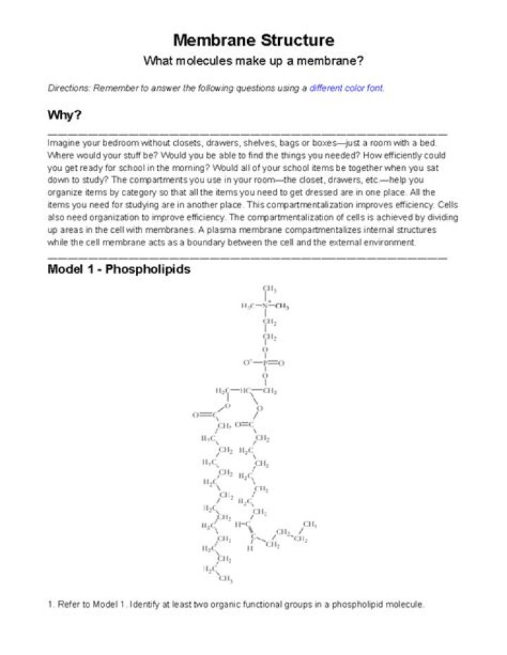 AP Biology Membrane Structure & Function Practice Test PDF – Instant Download