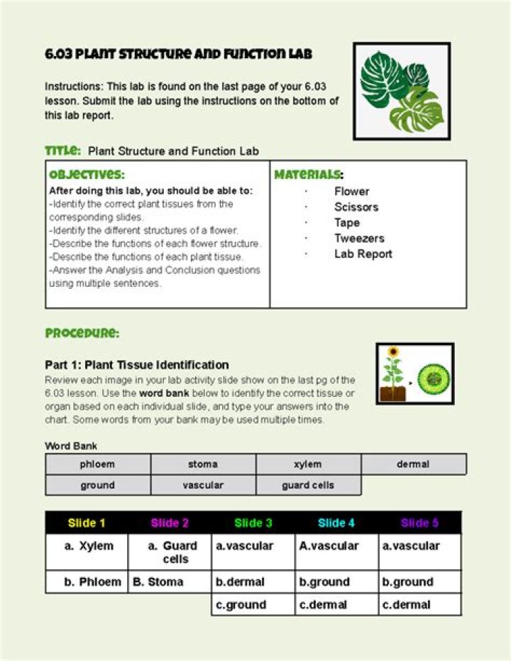AP Biology Plant Response Test PDF Study Guide