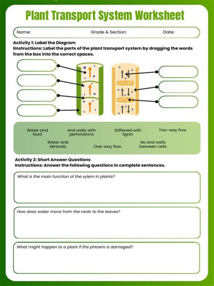 AP Biology Plant Transport Test PDF: Comprehensive Practice & Study Guide