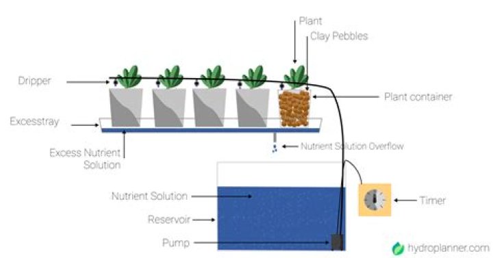 AP Biology Plant Water Flow Test PDF: Essential Lab Guide