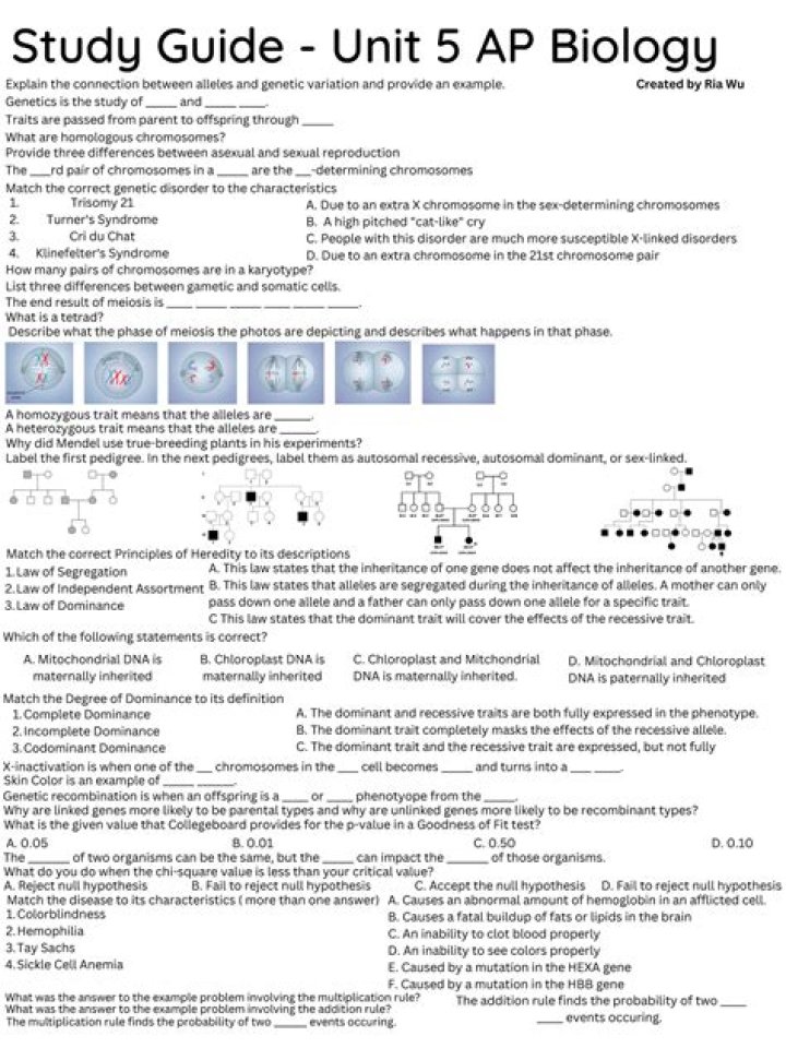 AP Biology Unit 1 Practice Test PDF – Instant Download
