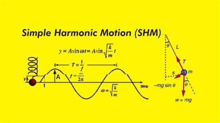 AP Physics 1 Simple Harmonic Motion: Questions & Answers PDF