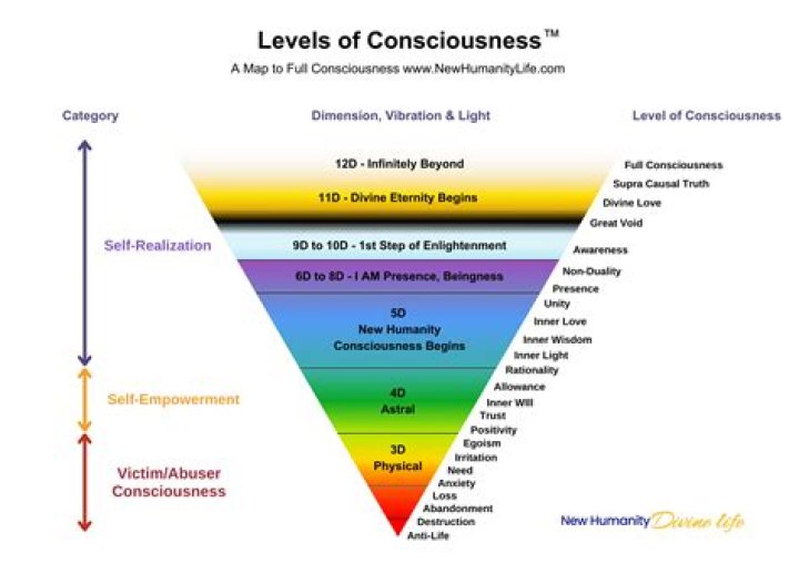 AP Psychology States of Consciousness Test PDF – Free Study Guide