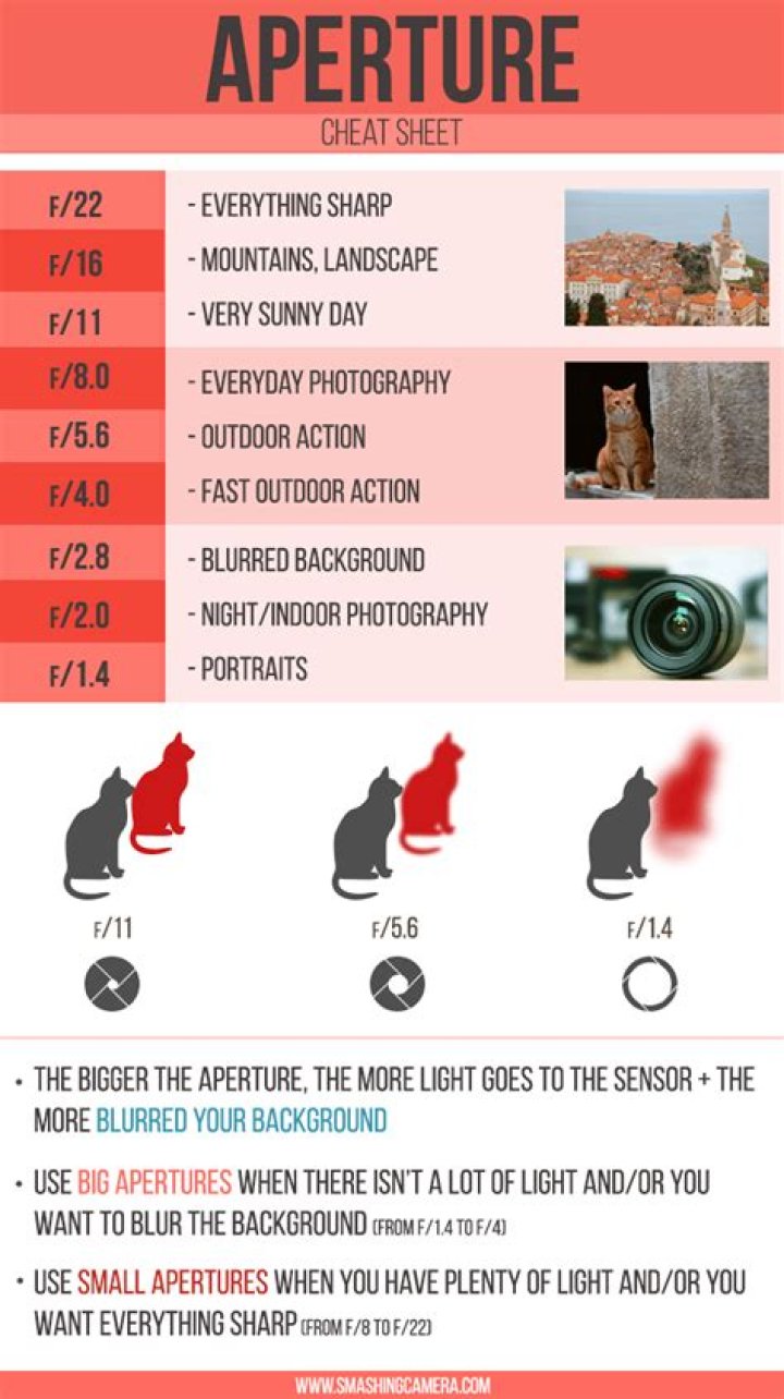 Aperture Cheat Sheet PDF: Master Camera Settings in Seconds