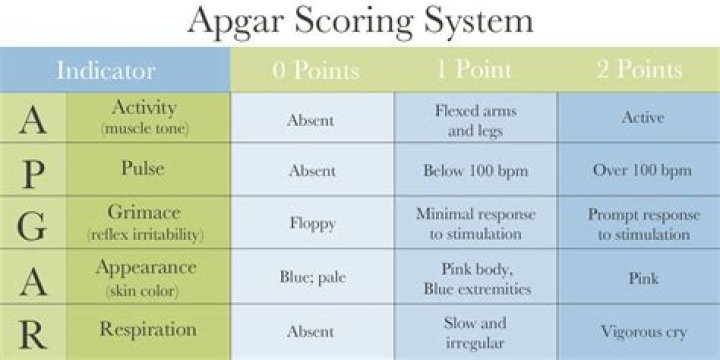 Apgar Test PDF: Essential Guide and Downloadable Checklist