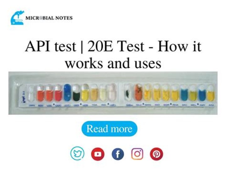 API 20E Test Manual PDF – Complete Guide & Download