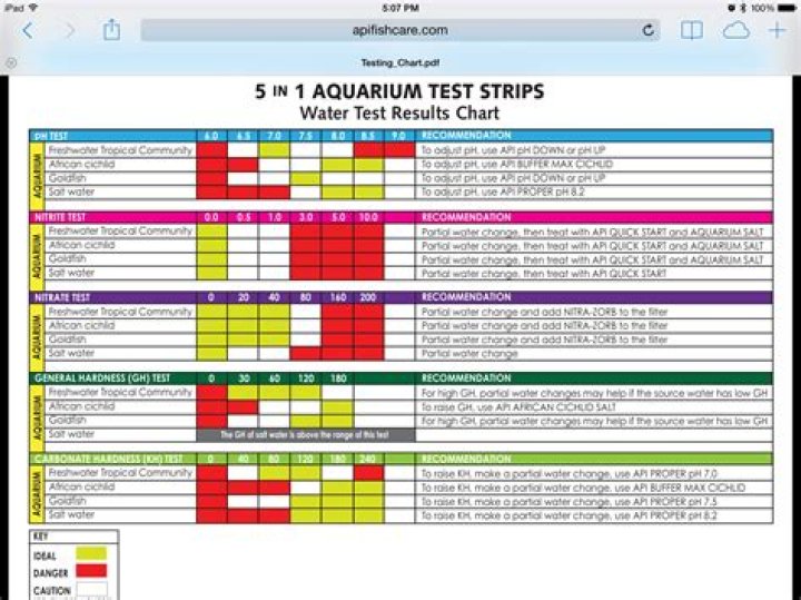 API 5 in 1 Test Strips Diagnostic Chart PDF for Quick Health Insights