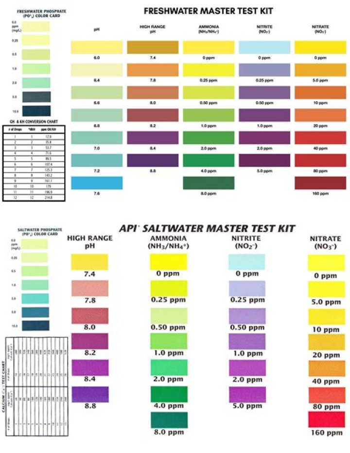 API Reef Master Test Kit Color Chart PDF – Accurate Color Matching for Aquariums