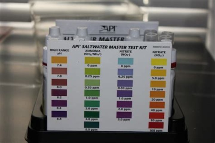 API Saltwater Master Test Kit Instructions PDF – Step-by-Step Guide