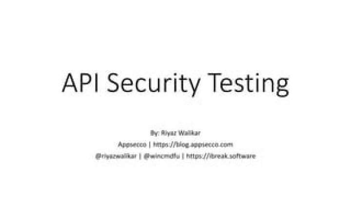 Comprehensive API Security Testing PDF Guide