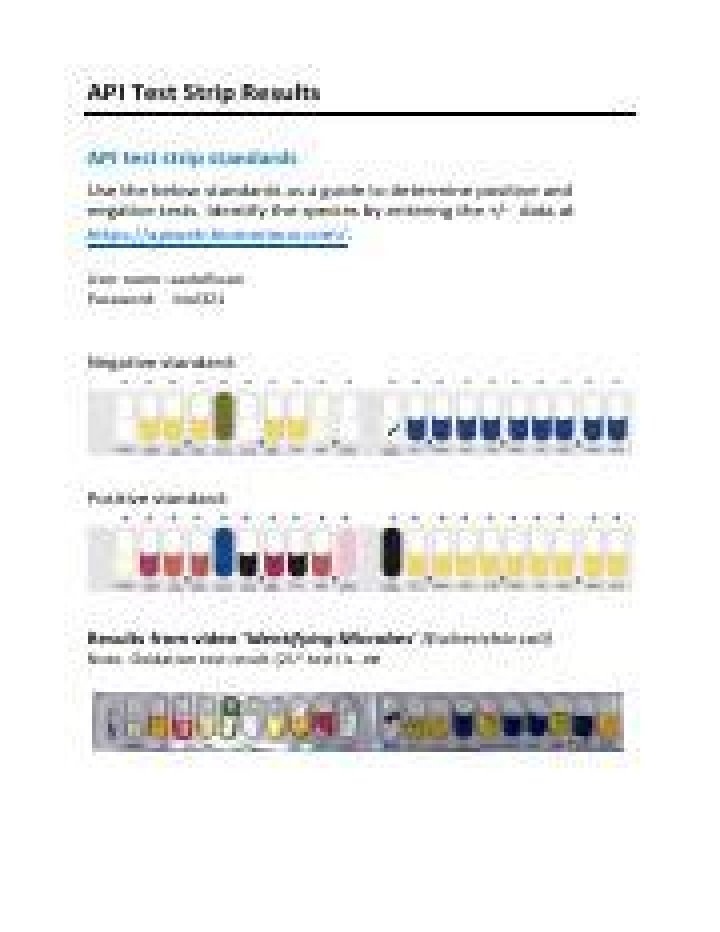 API Test Strip PDF: Fast & Accurate Testing for Medical Data