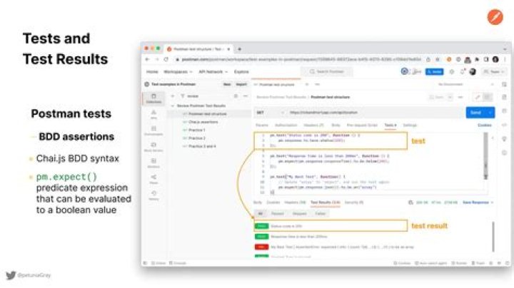 Master API Testing with Postman: PDF Guide for Seamless Validation