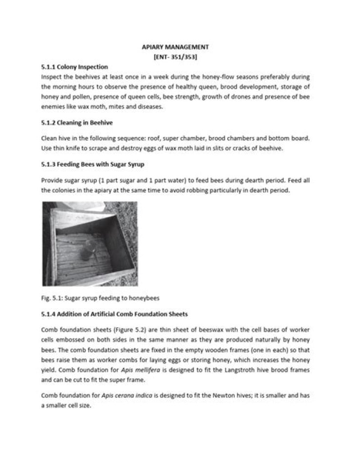 Master APIary Management: Essential PDF Guide