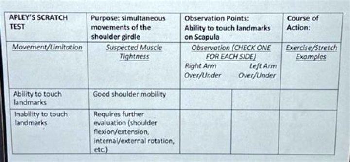 How to Perform Apley's Scratch Test: PDF Guide for Wood & Metal Inspection