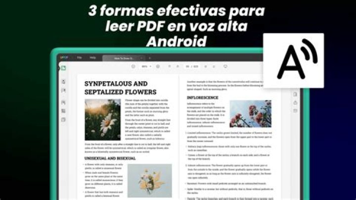 App Gratis per Modificare Testo PDF – Modifica PDF in Minuti