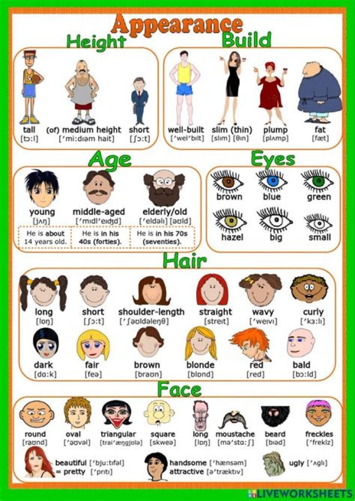 Essential Appearance Vocabulary List PDF – Master Fashion & Style Terms