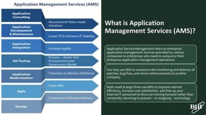 Comprehensive Application Management Services PDF Guide