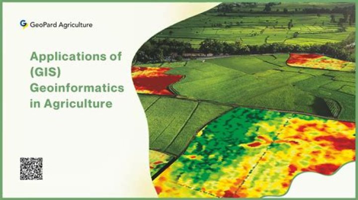 Application of GIS and Remote Sensing in Environmental Management: Key Insights from Expert PDFs