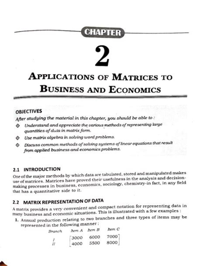 How Matrices Transform Business Management: A Practical Application PDF