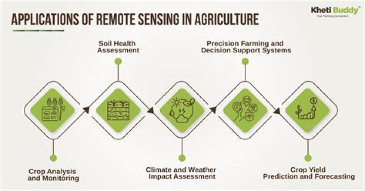 Application of Remote Sensing and GIS in Environmental Management: A Comprehensive PDF Guide