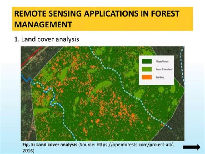 Application of Remote Sensing in Forest Management: Insights from PDF Research