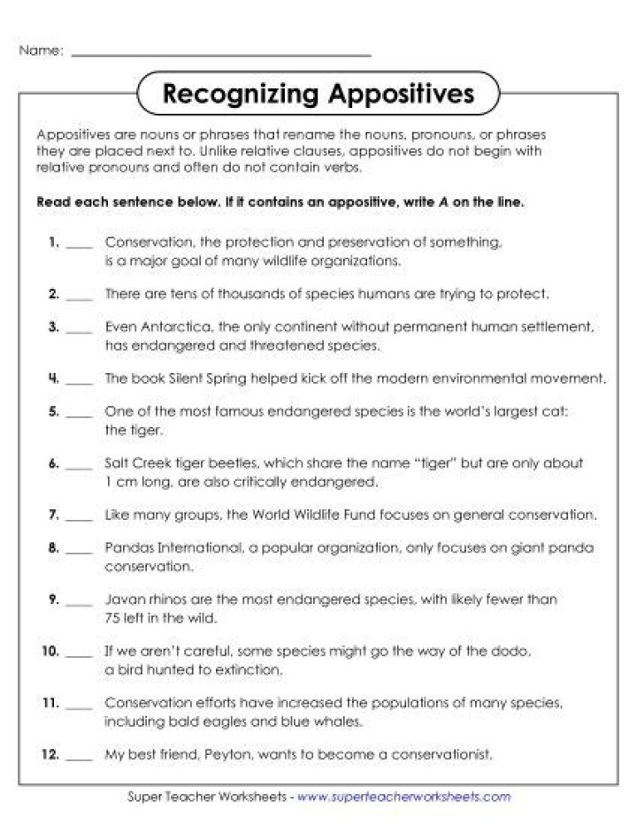 Free Appositives Worksheet with Answers PDF – Instant Download