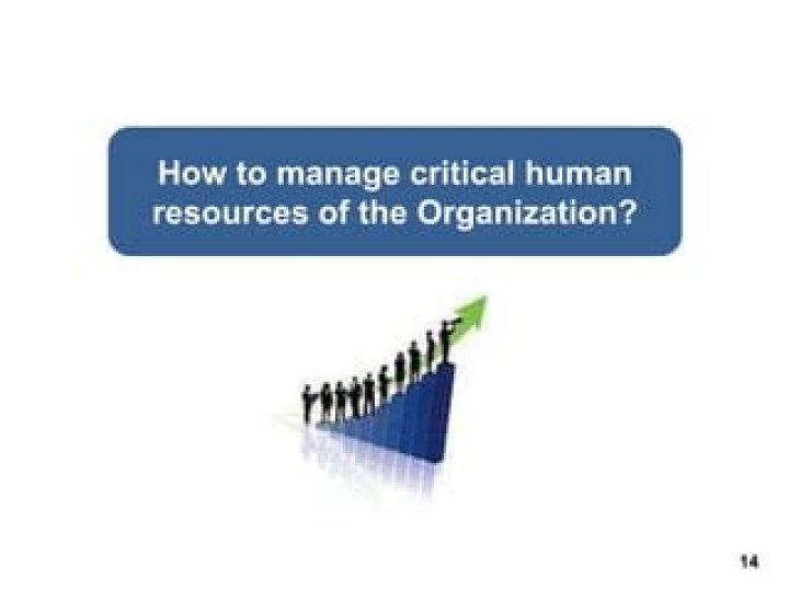 Effective Approaches to Human Resource Management: A Comprehensive PDF Guide
