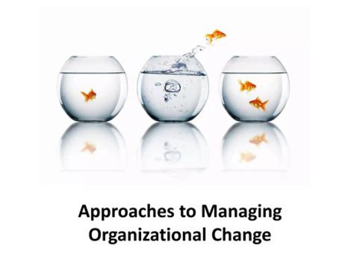 Effective Approaches to Managing Organisational Change – PDF Guide