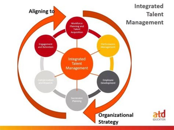 Top Approaches to Talent Management: Expert PDF Guide