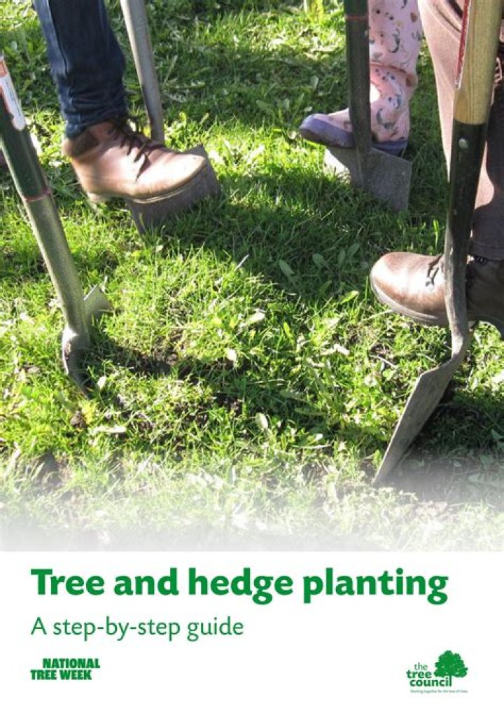Approved Tree & Hedge Materials PDF – Official List & Guidelines